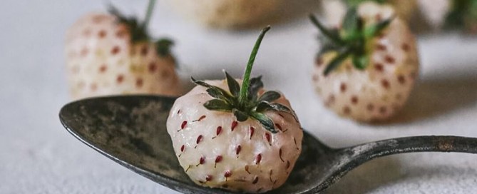 Pineberry